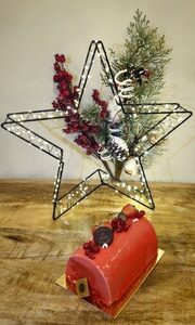 La vie en rose buche framboise le 18.6 pau