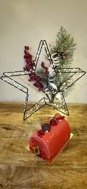 La vie en rose buche framboise le 18.6 pau La vie en rose buche framboise le 18.6 pau